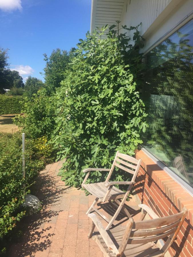 Vaerelse Med Udsigt Over Limfjorden - Rolige Omgivelser Og Adgang Til Flot Have Nykobing Mors Kültér fotó